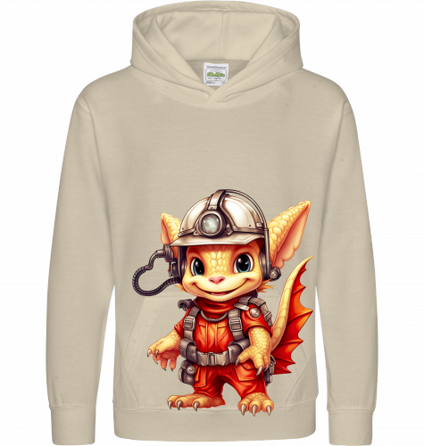 Drachen FW - Hoodie